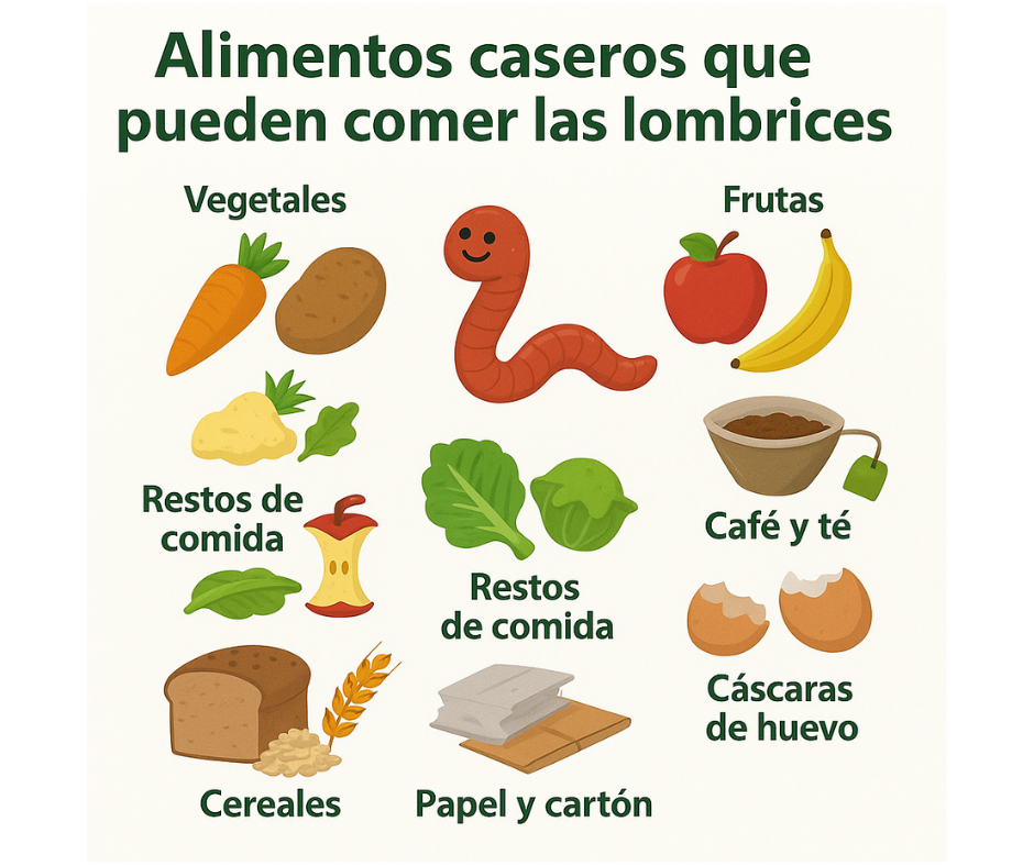 EcoLife Ecuador Lombrices californianas organico cacao