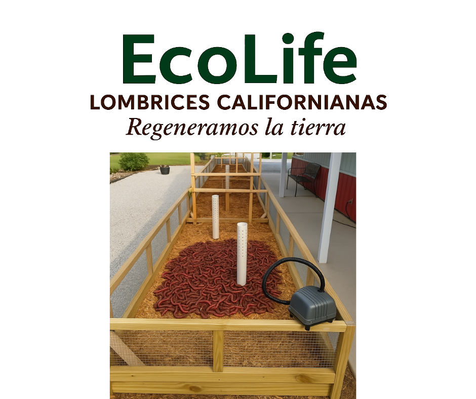 EcoLife Ecuador Lombrices californianas organico cacao