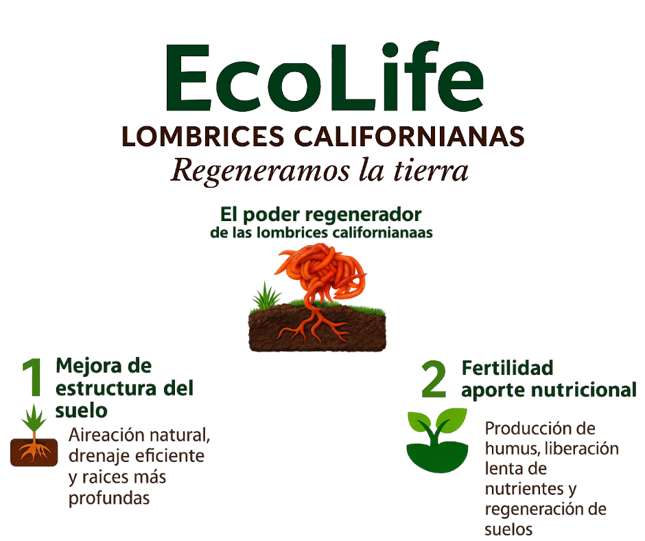 EcoLife Ecuador Lombrices californianas organico banano