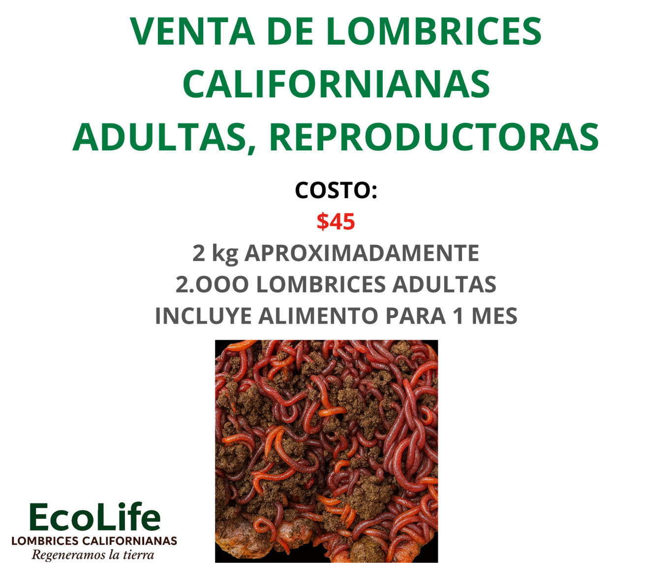 EcoLife Ecuador Fertilización orgánica con humus de lombriz EcoLife en cultivo de pitahaya bajo agricultura sostenible en Ecuador