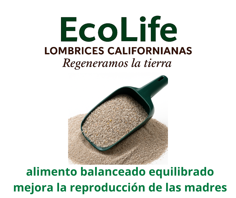 EcoLife Ecuador Lombrices rojas californianas organico cacao
